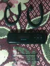 MP3-плеер Transcend T.Sonic 330 8GB Pink