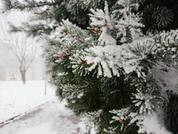 Мобильный телефон Sony Xperia XZ1 Dual Black фото от покупателей 17