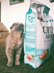 Сухой корм Optimeal для котят, с курицей, 200 + 100 г фото від покупців 3