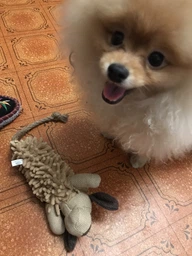 Іграшка для собак Trixie Собака з пищалкою 30 см Різнокольоровий (35930) фото від покупців 8