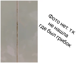 Пена-спрей для удаления грибка и плесени HG 500 мл (632050161) фото от покупателей 2