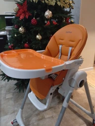 Стульчик для кормления Peg-Perego Prima Pappa Follow Me Mint (IH01000000BL64) фото от покупателей 16