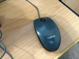 Миша Logitech M100 USB White (910-006764) фото від покупців 18
