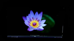 Монитор 28" Samsung U28E590D (LU28E590DS/CI) фото от покупателей 1