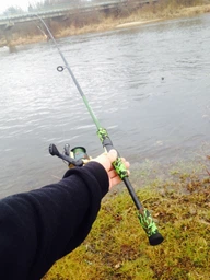 Катушка карповая Lineaeffe Baitrunner Free Carp 60 (1209061) фото от покупателей 3