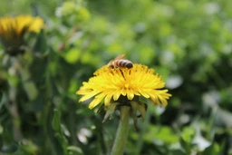 Фотоапарат Canon EOS 2000D BK 18-55 DC III (2728C007AA) фото від покупців 3