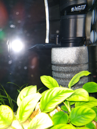 Помпа AquaEl Circulator 500 для аквариума (5905546131865)