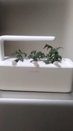 Сменный картридж Click&Grow Мини томат 3 шт (4742793007304) фото от покупателей 5
