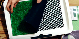 Туалет для собак лоток для домашніх тварин Puppy Potty Pad Green фото від покупців 6