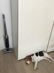 Аккумуляторный пылесос BOSCH Athlet Ultimate 32.4 V BCH7ATH32K фото от покупателей 6