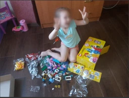 Конструктор LEGO Classic Набор для творческого конструирования 502 детали (10703) фото от покупателей 8