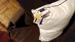 Подушка шовкова MirSon Royal Pearl 0516 м'яка 60х60 см (2200000042262) фото від покупців 2