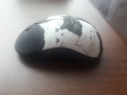 Мышь 2Е MF209 Wireless Black/White (2E-MF209WC5) фото от покупателей 16