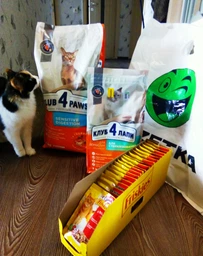 Сухий корм з куркою Club 4 Paws Клуб 4 Лапи для котів з чутливим травленням 2 кг (4820215368773) фото от покупателей 7