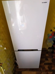 Холодильник Sharp SJ-BB02DTXW1-UA (6474700) фото от покупателей 16