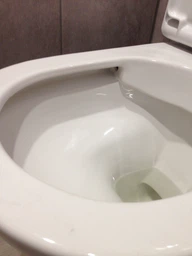 Унитаз подвесной VILLEROY & BOCH O.Novo 5688HR01 DirectFlush 49 с сиденьем Soft Close 9M38S101 фото от покупателей 6
