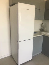 Холодильник HITACHI R-BG410PUC6GPW фото от покупателей 5