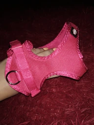 Шлея Trixie 16258 Soft мягкая XXS-XS 28-40 см 15 мм Фуксия (4047974162583) фото от покупателей 7