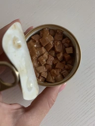 Влажный корм для кошек Purina Gourmet Gold Кусочки в соусе с лососем и курицей 85 г (7613032618674) фото от покупателей 16