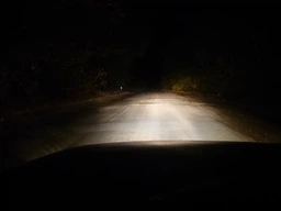 Світлодіодні автолампи H10 Carlamp Night Vision Gen2 Led для авто 5500K 5000 Lm (NVGH10) фото від покупців 3