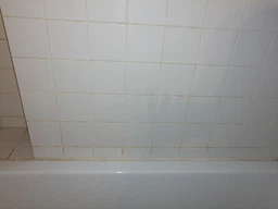 Очищувач швів Glutoclean 0.75 л (4044899363927) фото від покупців 2