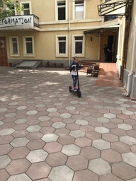Электросамокат Xiaomi Mi Electric Scooter M365 Black (Европейская версия) фото от покупателей 12