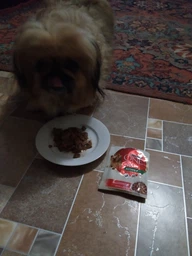 Вологий корм для собак малих порід із зайвою вагою Purina One Mini Weight control pouch 100 г (індичка) фото от покупателей 5