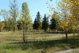 Фотоапарат Canon EOS 4000D BK 18-55 (3011C004AA) фото від покупців 5