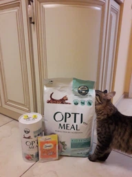 Сухой корм для котят Kitten Chicken курица 1 кг Optimeal фото от покупателей 19