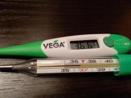 Термометр VEGA МТ 519 фото від покупців 3
