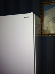 Холодильник с морозильной камерой Sharp SJ-BA05DMXW1-UA фото от покупателей 4