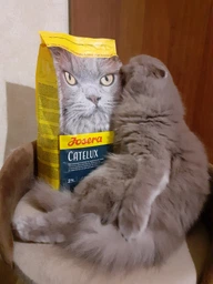 Сухой корм для привередливых кошек для выведения шерсти Josera Catelux, 10 кг фото от покупателей 1