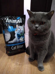 Наповнювач для котячого туалету силикагелевий AnimAll Blue 3.8 Л упаковка 2 ШТ фото від покупців 2
