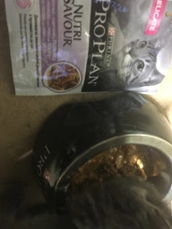 Консервированный корм Purina Pro Plan Veterinary Diets Delicate NutriSavour with Turkey in gravy Кусочки с индейкой для кошек с чувствительным пищеварением 85 г (7613287107848) фото от покупателей 10