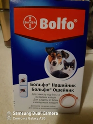 Ошейник Bayer Больфо от блох и клещей для кошек и собак 35 см (4007221035220/4007221021599)