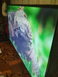 Телевизор Panasonic TX-49FXR600 фото от покупателей 7
