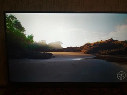 Телевизор Panasonic TX-49FXR600 фото от покупателей 3