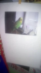 Принтер Epson l120 (c11cd76302) фото від покупців 4