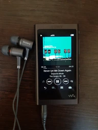 MP3-плеер Sony Walkman NW-A55L 16GB Gold фото от покупателей 7