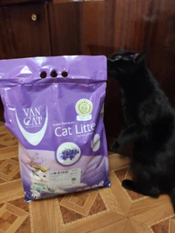 Наповнювачі для туалету VanCat Lavender Бентонітовий наповнювач з ароматом Лаванди для котячого туалету 5 кг (55448) фото від покупців 14