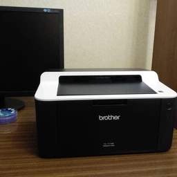 Принтер Brother HL-1112E (HL1112EYJ1) Monochrome Laser
