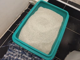 Наповнювач бентонітовий Van Cat Super Premium Quality Natural для котячого туалету 20 кг фото від покупців 1