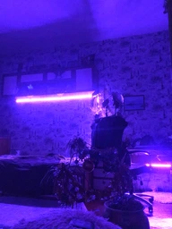 Комплект - cветодиодная лента RGB 5050 от сети 220в + пульт ДУ ( 300 LED 5м ) ( SMD 5050 )