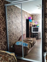 Шкаф-купе Фенікс Зеркало 120x60x240 см двухдверный Дуб сонома (FM007859) фото от покупателей 1