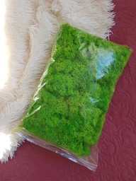 Стабилизированный мох ягель Nordic moss Зеленый травяной светлый 0,5 кг фото от покупателей 7