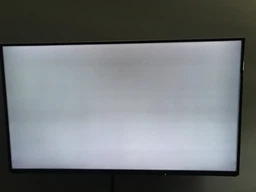 Телевизор Panasonic TX-49FXR600