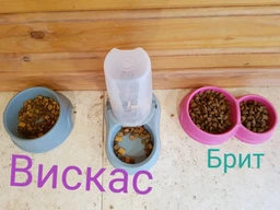 Сухий корм Brit Premium Cat by Nature Sterilised для стерилізованих котів, з куркою, 1500 г (1111167477) фото от покупателей 14