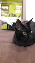 Сухой корм с мясом и рыбой для котов всех возрастов Acana Grasslands cat, 1.8 кг фото от покупателей 4
