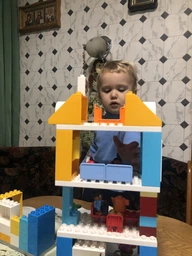 Конструктор LEGO DUPLO Семейный дом 69 деталей (10835) фото от покупателей 11