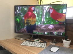 Монитор 31.5" ViewSonic VX3276-2K-MHD (VS17090) фото от покупателей 2